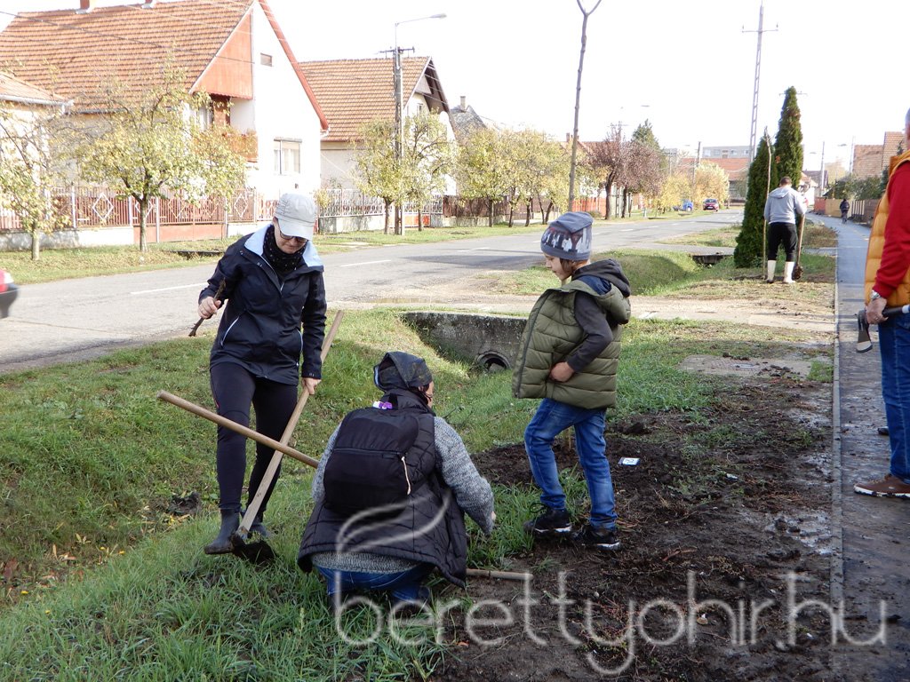 Közösségi faültetés Berettyóújfaluban 74